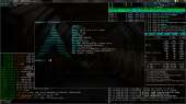 1366x768