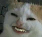 328x294