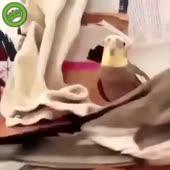 360x360