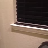 360x360