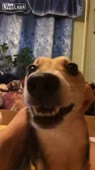 406x720