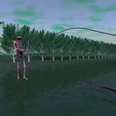 480x480