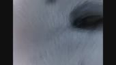 640x360
