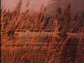480x360