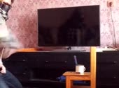 480x360