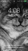 640x1136