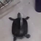 360x360