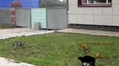 640x360