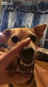 406x720