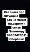 475x811