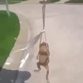 360x360