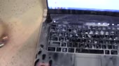 1280x720