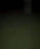 292x360