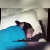 360x360