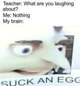 622x658