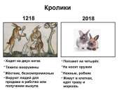 1200x915