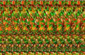 1024x666