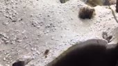 400x224