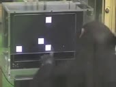 320x240