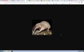 1152x720