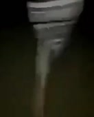 292x360