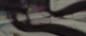 640x274