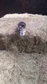 360x634