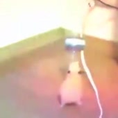 360x360