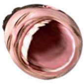 240x240
