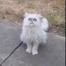360x360