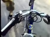 320x240
