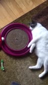 360x640