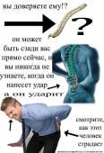 527x767