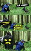584x960