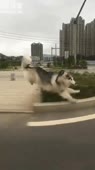 360x640