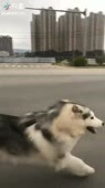 360x640