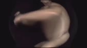640x360