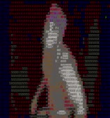 478x512