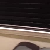 360x360