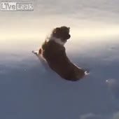360x360