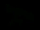 320x240