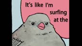 460x258