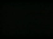 320x240