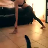 240x240