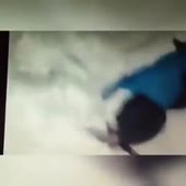 360x360