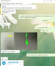 648x772