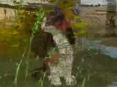 480x360
