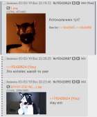 413x498