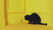 400x226