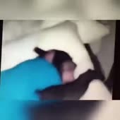 360x360